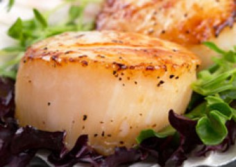 Delicious Scallops